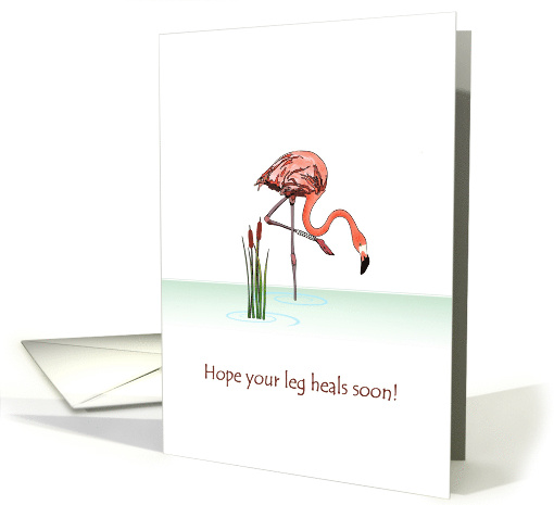 Get Well Broken Leg Flamingo Standing in Water With One... (1461296)