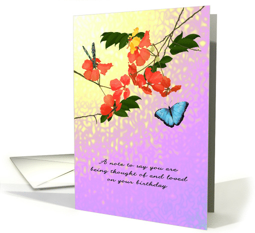 1st Birthday Alone Loss Of Partner Butterflies And Spray... (1461338)