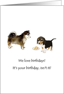 Birthday Cute Puppies Guarding A Slice Of Cake card