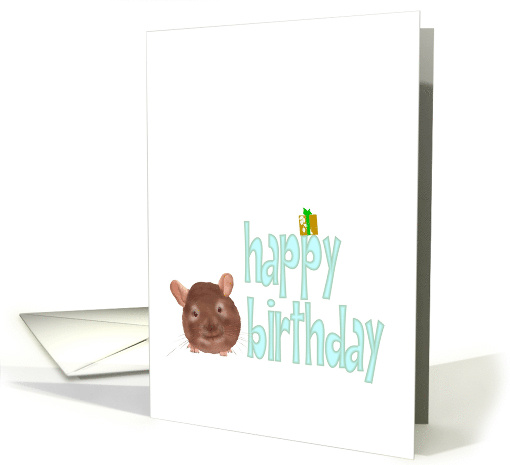 Cute Chinchilla Present Sitting on Birthday Greeting card (1462022)