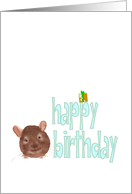 Cute Chinchilla Present Sitting on Birthday Greeting card
