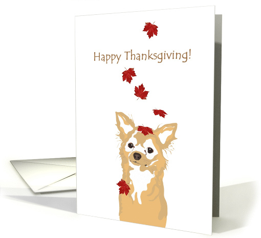 Fall Foliage Falling on Cute Chihuahua Thanksgiving card (1467182)