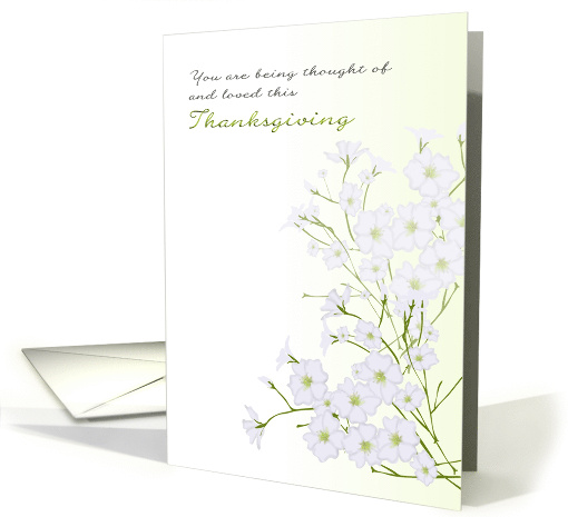 1st Thanksgiving Alone Bereaved Baby's-Breath Flowers card (1467200)