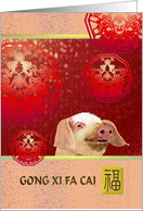Chinese New Year Of The Pig Cute Pig Floral Patterned Discs card