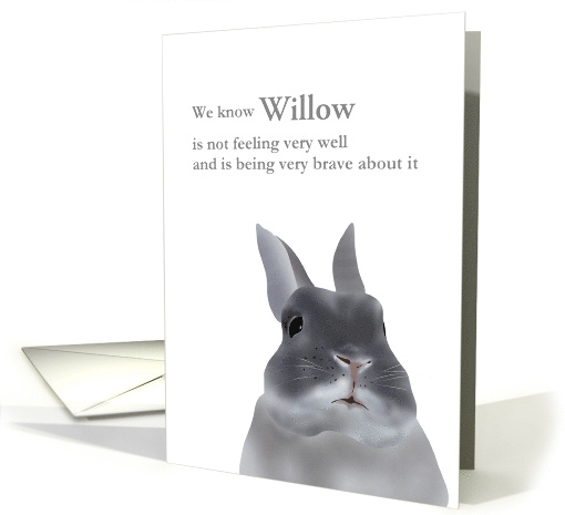 Encouragement For Owner Of Pet Rabbit With Cancer Cute Rabbit card