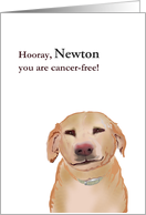 Pet dog cancer free, cute dog with a grin on its face card