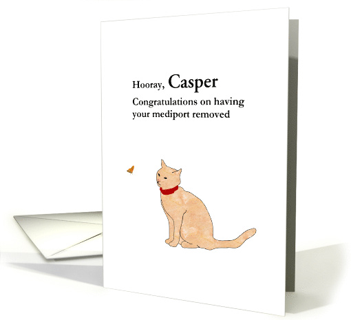 Pet Cat With Mediport Removed Cat Watching Butterfly In Flight card