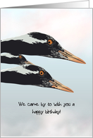 Partial Profile Of Cranes Flying By With A Birthday Wish card