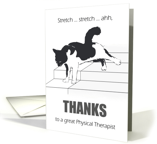 Thank You To Physical Therapist Cat Stretching Itself On... (1486360)