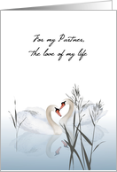 For My Partner Love Of My Life Beautiful White Swans On The Water card