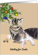 Two Sleepy Kittens Waiting Up For Santa Christmas card