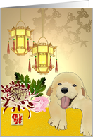 Chinese new year of the dog, retriever puppy ornate lanterns card