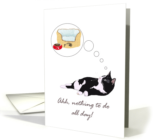 Congratulations on Retirement Tuxedo Cat Thinking of Bed and Food card