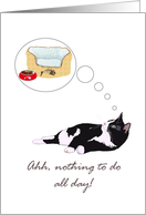 Congratulations on Retirement Tuxedo Cat Thinking of Bed and Food card