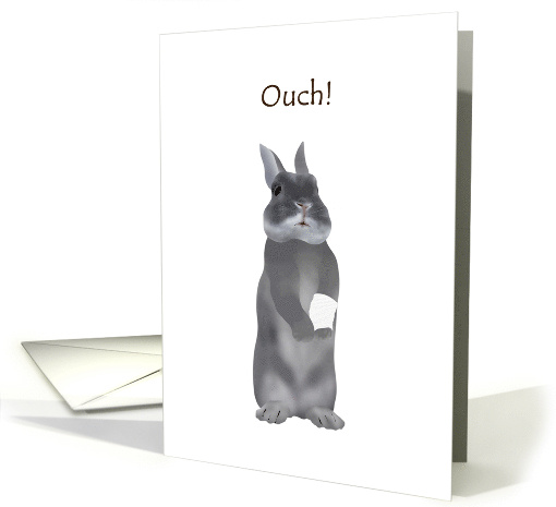 Get Well Wrist Injury Rabbit Standing On Hind Legs With... (1504032)