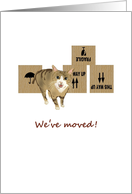 We’ve Moved Announcement Cute Cat And Moving Boxes With Labels card