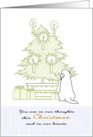 1st Christmas alone bereaved loss of pet, dog looking at holiday tree card