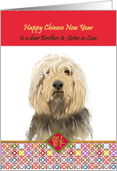 Chinese New Year of the Dog for Brother and Sister in Law Smiling Dog card
