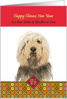 Chinese New Year of the Dog for Sister and Brother in Law Smiling Dog card