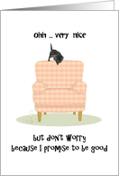 New Year’s Greetings From Pet Cat Kitten Perched On New Armchair card