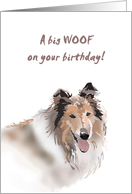 Rough Collie With Tongue Hanging Out Birthday card