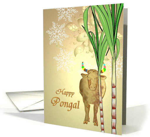 Pongal Indian harvest festival, sugar cane oxen and kolam card