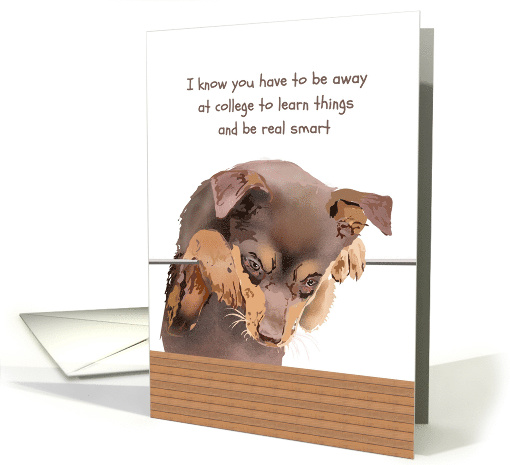 Thinking Of You Away At College Missing You From Pet Dog card