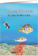 Nowruz for Brother in Law Colorful Fish Swimming Among Coral Beds card