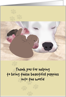 Thank you assisting birth of litter of Great Dane puppies, whelping card