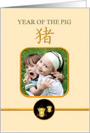 Chinese New Year Photocard Chinese Character For Pig card