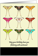 Fluttering With Excitement On Birthday Colorful Moon Moths card