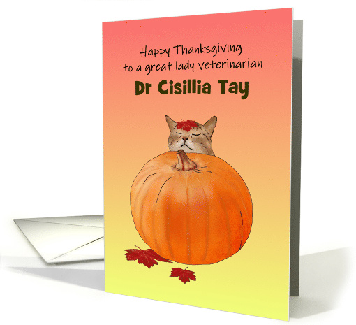 Thanksgiving for Lady Veterinarian Cat Napping Against Pumpkin card