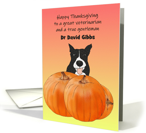 Thanksgiving for Male Veterinarian, Dog Sitting Behind Pumpkin card