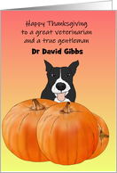 Thanksgiving for Male Veterinarian, Dog Sitting Behind Pumpkin card