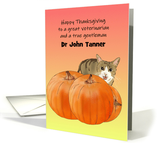 Thanksgiving for Male Veterinarian Cat Standing Behind Pumpkin card