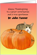 Thanksgiving for Male Veterinarian Cat Standing Behind Pumpkin card