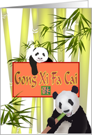 Chinese New Year Cute Pandas in Bamboo Grove card
