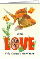 Chinese New Year With Love Goldfish and Luck Photo card