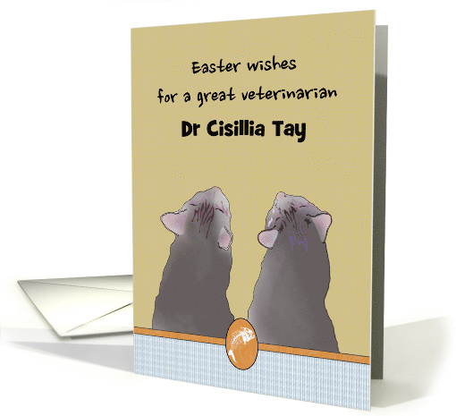 Easter for Veterinarian Two Cats Looking Up at Greeting Custom card