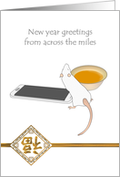 Year of the Rat...