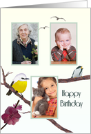 Birthday Photocard Cute Birds and Blossoms card