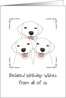 Belated Birthday Wishes from All of Us Cute Puppies card