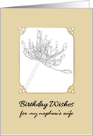 Birthday for MY Nephew’s Wife Hand Drawn Agapanthus Bloom card