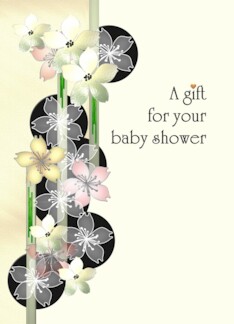 Baby Shower Gift...