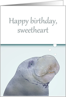 Birthday for Wife Manatee Blowing Heart Shaped Bubbles card