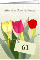 Alles Gute Zum Geburtstag Colorful Tulips Custom Age card