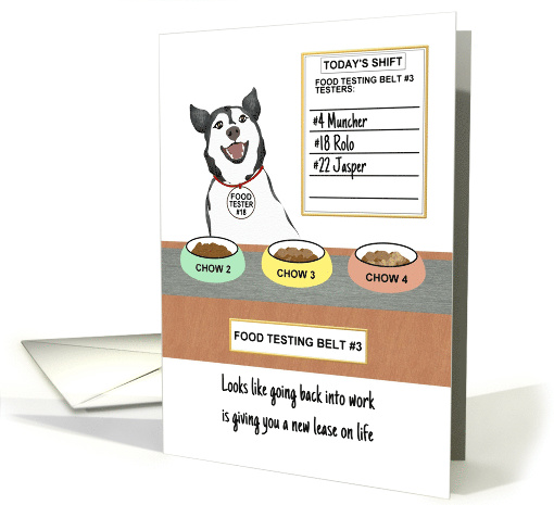 Re-entering Workforce after Long Absence Dog Food Testing Cartoon card