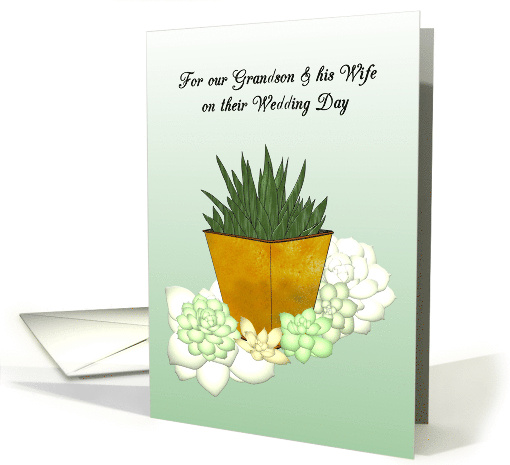 Grandson and Wife on Wedding Day Succulent Plants card (1569720)