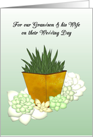 Grandson and Wife on Wedding Day Succulent Plants card