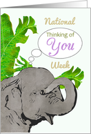 National Thinking of You Week Cute Elephant Thinking of You card